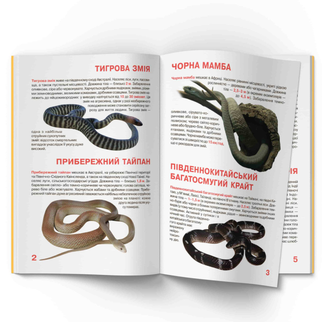 Пізнавальні книги (4-10 років) - Книжка «Велика книжка. Отруйні змії»  (9789669870322)#2
