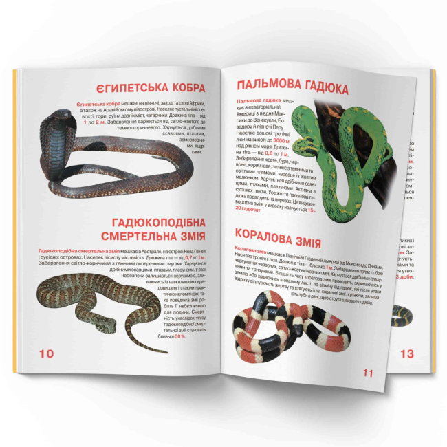 Пізнавальні книги (4-10 років) - Книжка «Велика книжка. Отруйні змії»  (9789669870322)#4