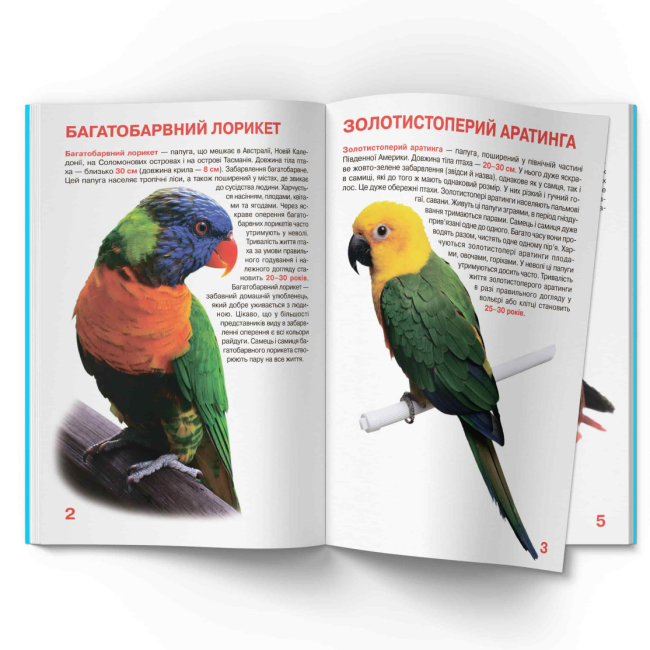 Пізнавальні книги (4-10 років) - Книжка «Велика книжка. Папуги» (9786177268283)#2