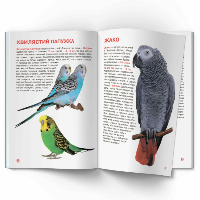 Пізнавальні книги (4-10 років) - Книжка «Велика книжка. Папуги» (9786177268283)#3