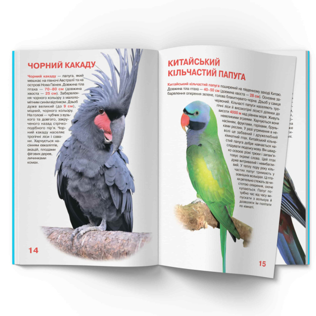 Пізнавальні книги (4-10 років) - Книжка «Велика книжка. Папуги»  (9786177268283)#5