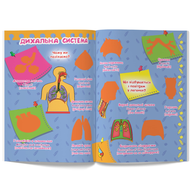 Розмальовки та актівітібуки (2-6 років) - Книжка «Велика книжка. Розвивальні наліпки. Розумнi завдання. Тіло людини» (9789669870575)#3