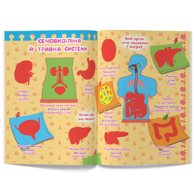 Розмальовки та актівітібуки (2-6 років) - Книжка «Велика книжка. Розвивальні наліпки. Розумнi завдання. Тіло людини» (9789669870575)#4