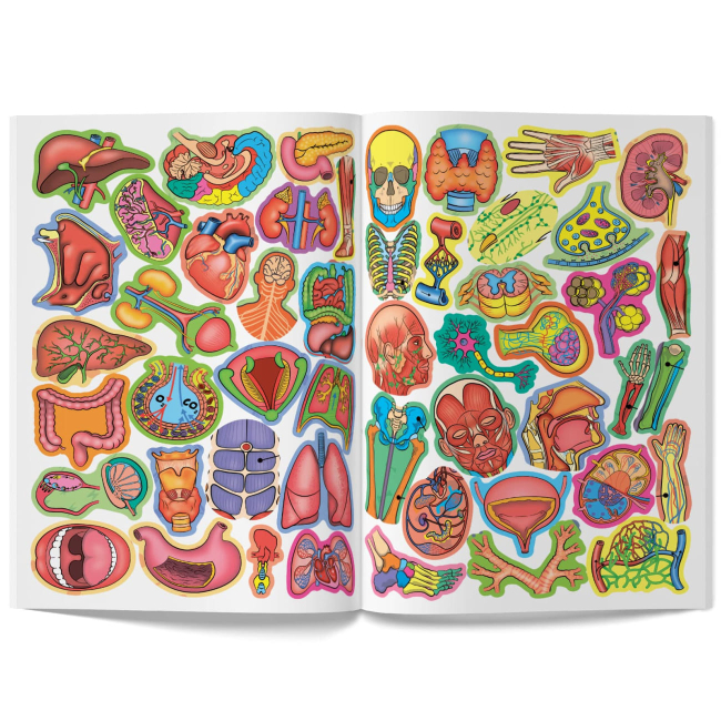 Розмальовки та актівітібуки (2-6 років) - Книжка «Велика книжка. Розвивальні наліпки. Розумнi завдання. Тіло людини» (9789669870575)#5