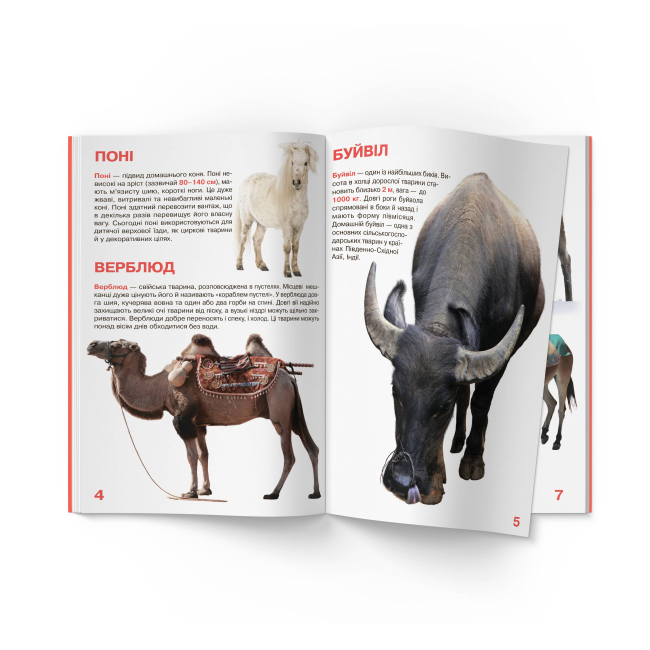 Познавательные книги (4-10 лет) - Книжка «Велика книжка. Свійські тварини» (9789669361554)#2