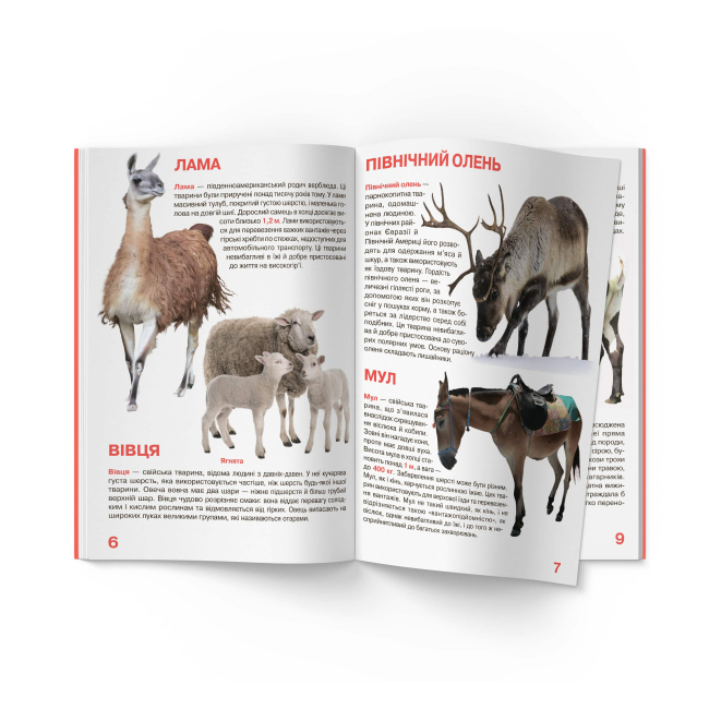 Познавательные книги (4-10 лет) - Книжка «Велика книжка. Свійські тварини» (9789669361554)#3