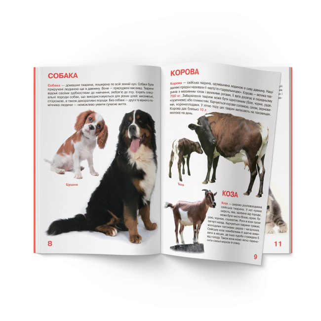 Познавательные книги (4-10 лет) - Книжка «Велика книжка. Свійські тварини» (9789669361554)#4
