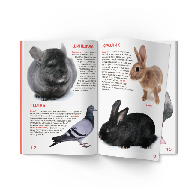Познавательные книги (4-10 лет) - Книжка «Велика книжка. Свійські тварини» (9789669361554)#5