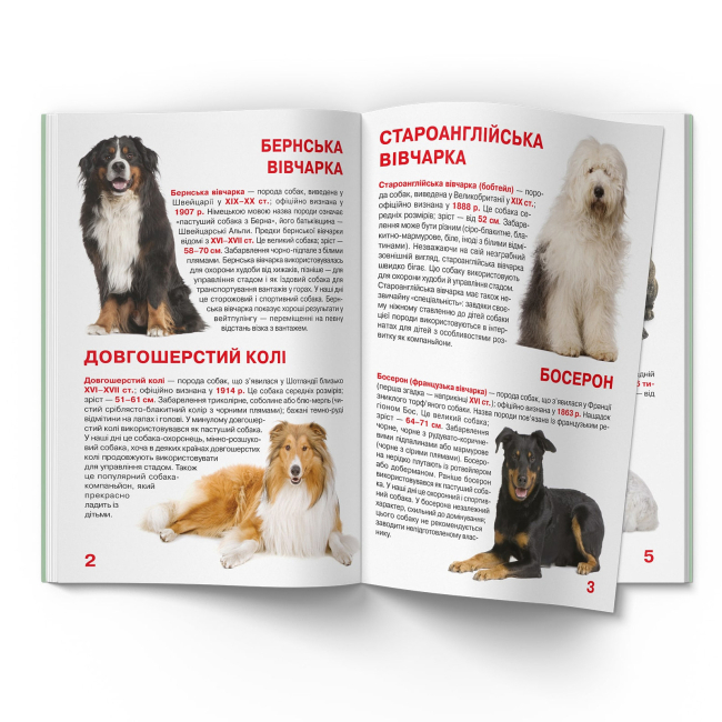 Познавательные книги (4-10 лет) - Книжка «Велика книжка. Службові собаки» (9789669361158)#2