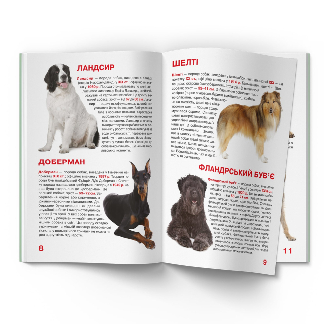 Познавательные книги (4-10 лет) - Книжка «Велика книжка. Службові собаки» (9789669361158)#4