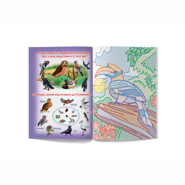 Товари для малювання - Водна розмальовка Crystal Book Птахи (9789669877383)#2