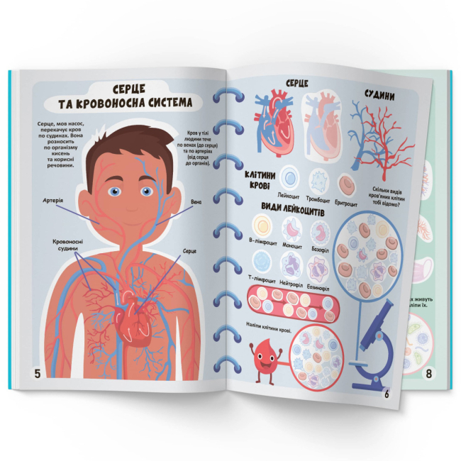 Розмальовки та актівітібуки (2-6 років) - Книжка «Меганаліпки. Тіло людини» (9789669873552)#2