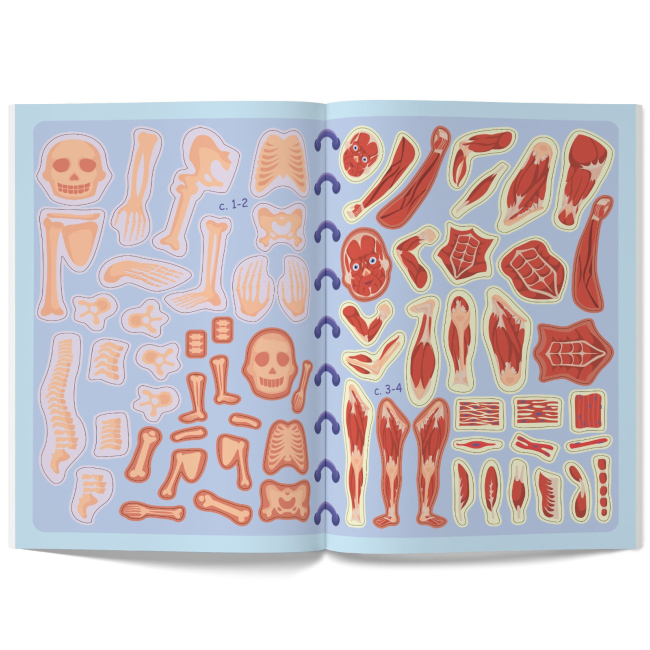 Розмальовки та актівітібуки (2-6 років) - Книжка «Меганаліпки. Тіло людини» (9789669873552)#6