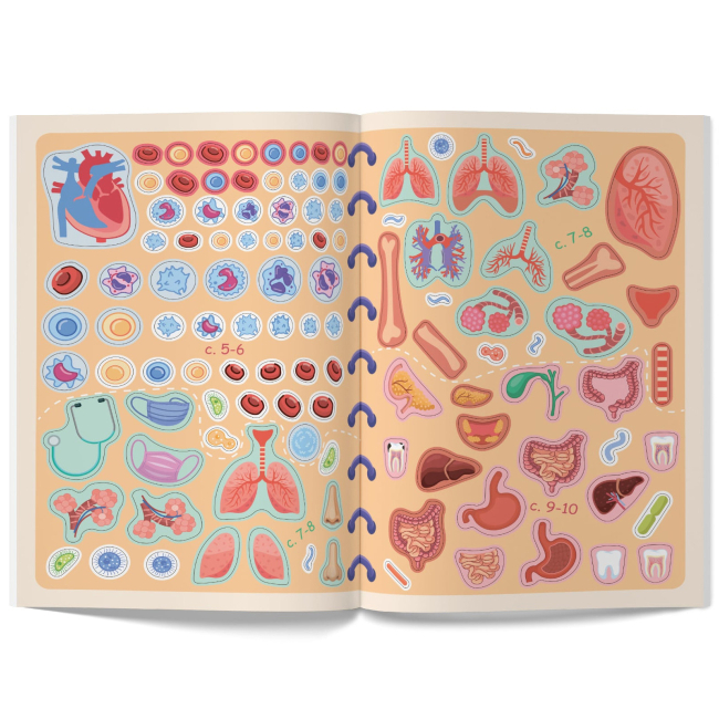 Розмальовки та актівітібуки (2-6 років) - Книжка «Меганаліпки. Тіло людини» (9789669873552)#7