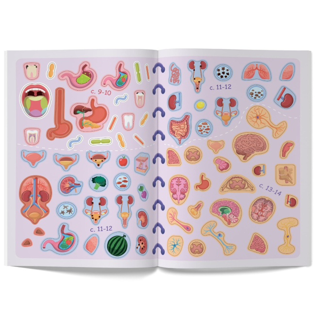 Розмальовки та актівітібуки (2-6 років) - Книжка «Меганаліпки. Тіло людини» (9789669873552)#8