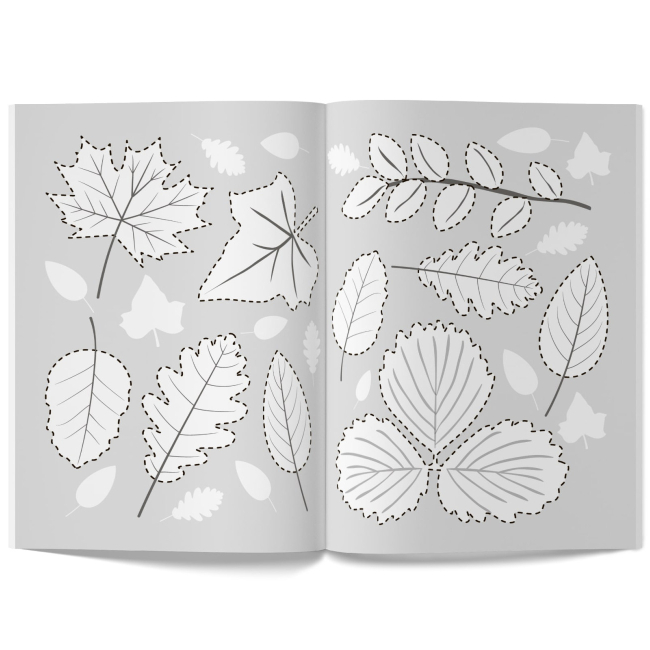 Навчальна література - Книжка «Мої перші прописи (код 084-7)» (9789669360847)#3