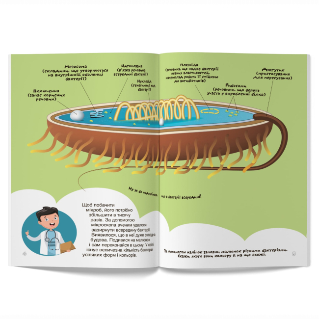 Розмальовки та актівітібуки (2-6 років) - Книжка «Перші розвивальні наліпки. Бактерії. 48 наліпок» (9789669875198)#2