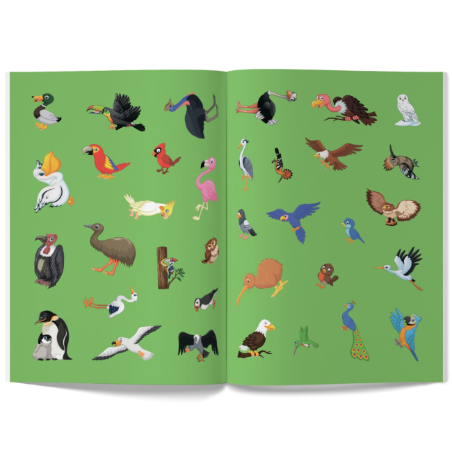 Розмальовки та актівітібуки (2-6 років) - Книжка «Перші розвивальні наліпки. Птахи. 35 наліпок» (9789669875099)#5