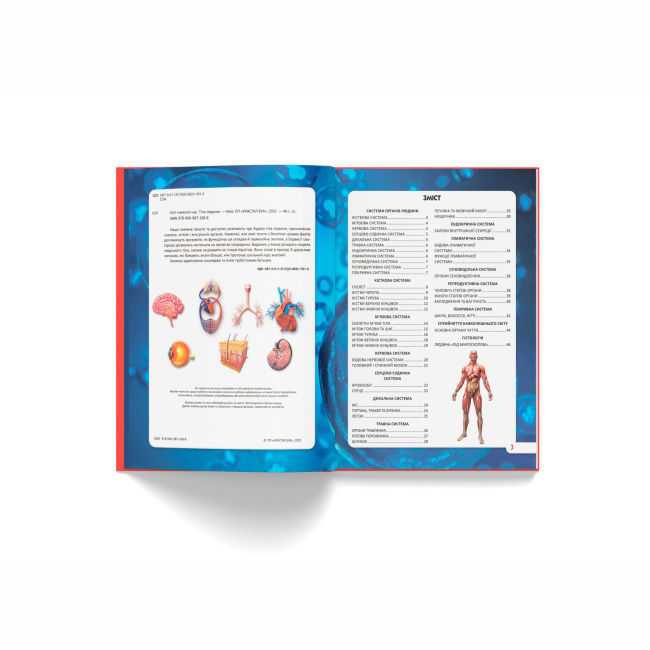 Пізнавальні книги (4-10 років) - Книжка «Світ навколо нас. Тіло людини» (9789669871688)#2