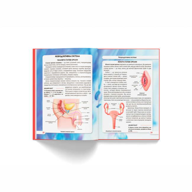 Пізнавальні книги (4-10 років) - Книжка «Світ навколо нас. Тіло людини» (9789669871688)#6