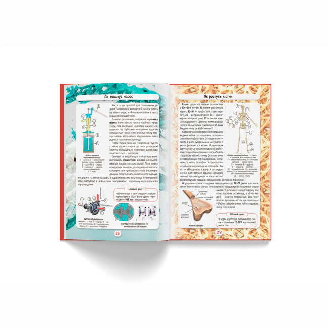 Пізнавальні книги (4-10 років) - Книжка «Світ навколо нас. Як це працює? Як усе відбувається?» (9789669872791)#7