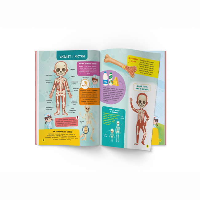 Навчальна література - Книжка «Школа сучасного чомусика. Моє тіло. 100 розвивальних наліпок» (9786175474303)#2