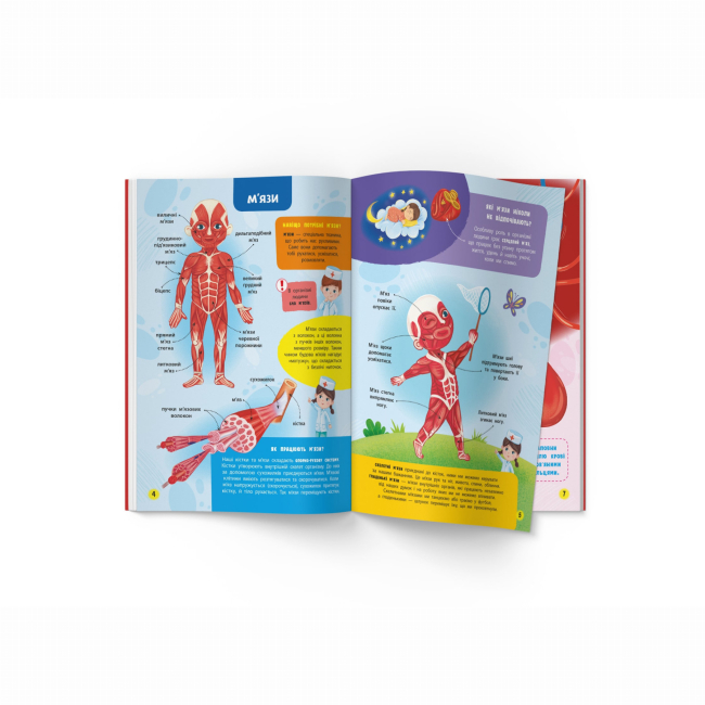 Навчальна література - Книжка «Школа сучасного чомусика. Моє тіло. 100 розвивальних наліпок» (9786175474303)#3