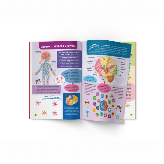 Навчальна література - Книжка «Школа сучасного чомусика. Моє тіло. 100 розвивальних наліпок» (9786175474303)#4