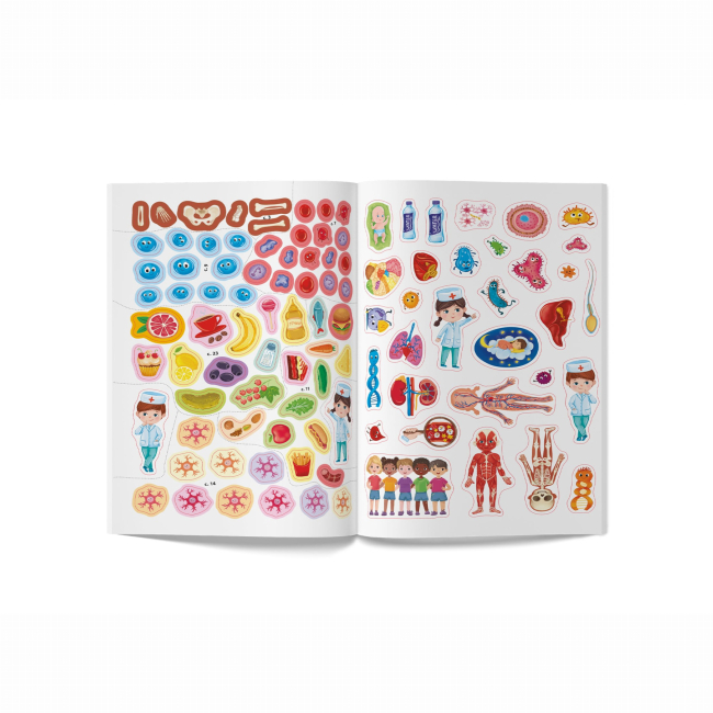 Навчальна література - Книжка «Школа сучасного чомусика. Моє тіло. 100 розвивальних наліпок» (9786175474303)#6