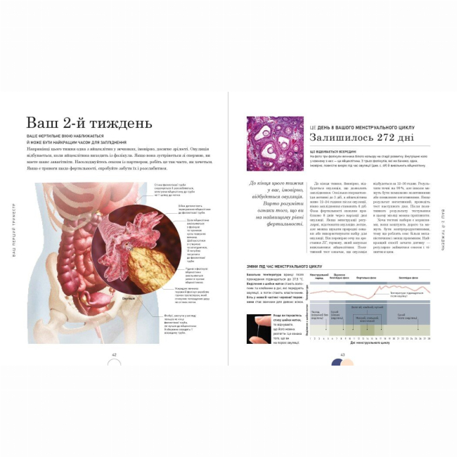 Книги для взрослых - Книжка «Вагітність день за днем» (9786170991058)#3