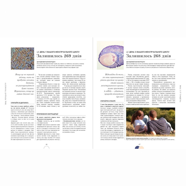 Книги для взрослых - Книжка «Вагітність день за днем» (9786170991058)#5