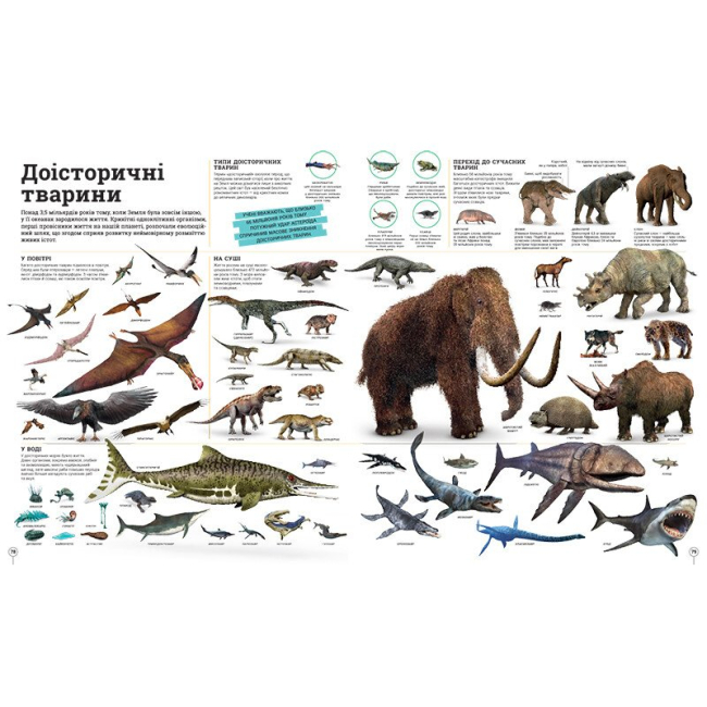 Познавательные книги (4-10 лет) - Книжка «Енциклопедії DK. Дивипедія»  (9786170992376)#5