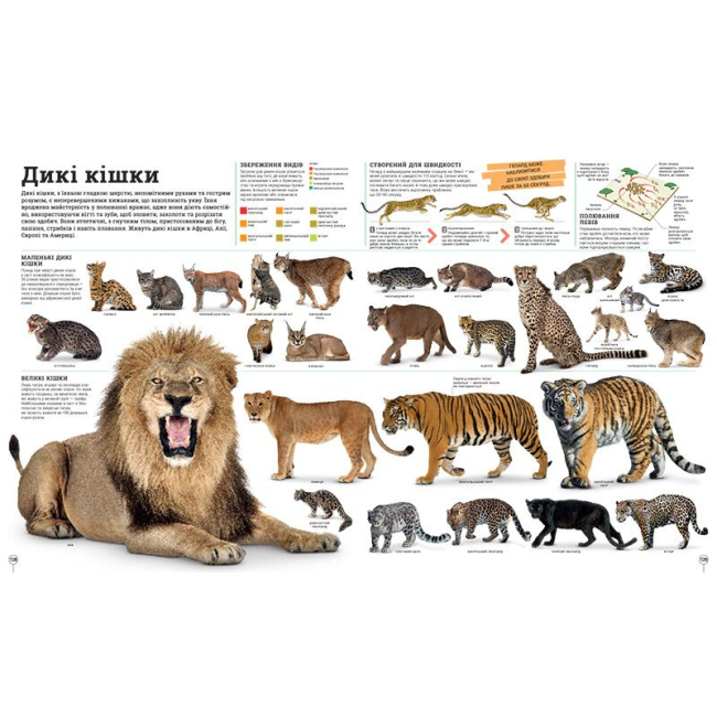 Познавательные книги (4-10 лет) - Книжка «Енциклопедії DK. Дивипедія»  (9786170992376)#7