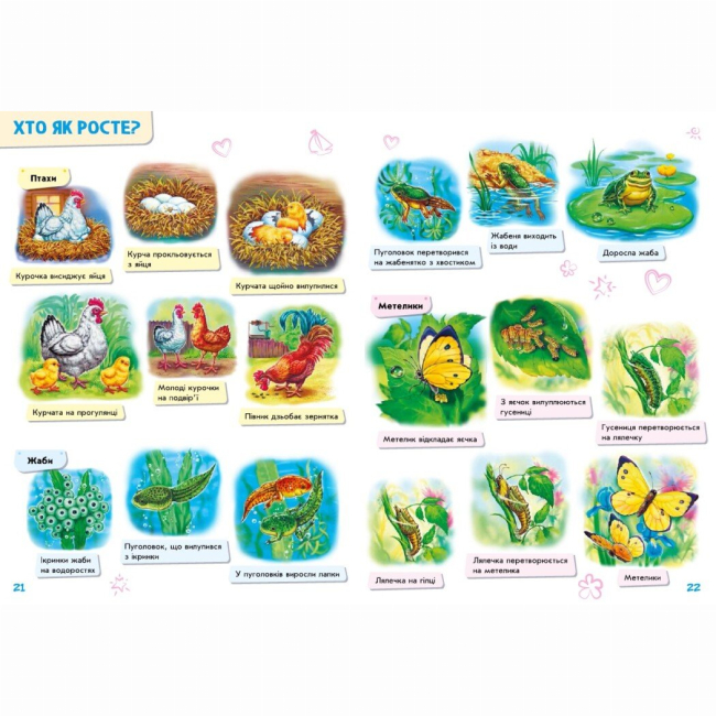 Навчальна література - Книжка «Малюкові про все на світі» (9786170986092)#4