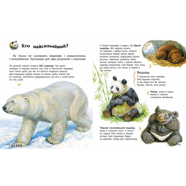 Пізнавальні книги (4-10 років) - Книжка «Енциклопедія дошкільника» (9786170973443)#2