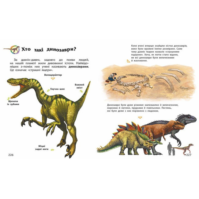 Пізнавальні книги (4-10 років) - Книжка «Енциклопедія дошкільника» (9786170973443)#3