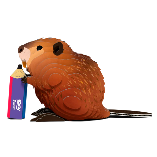 3D-пазлы - 3D пазл Eugy Зоопарк Бобер (XEG-127)#2