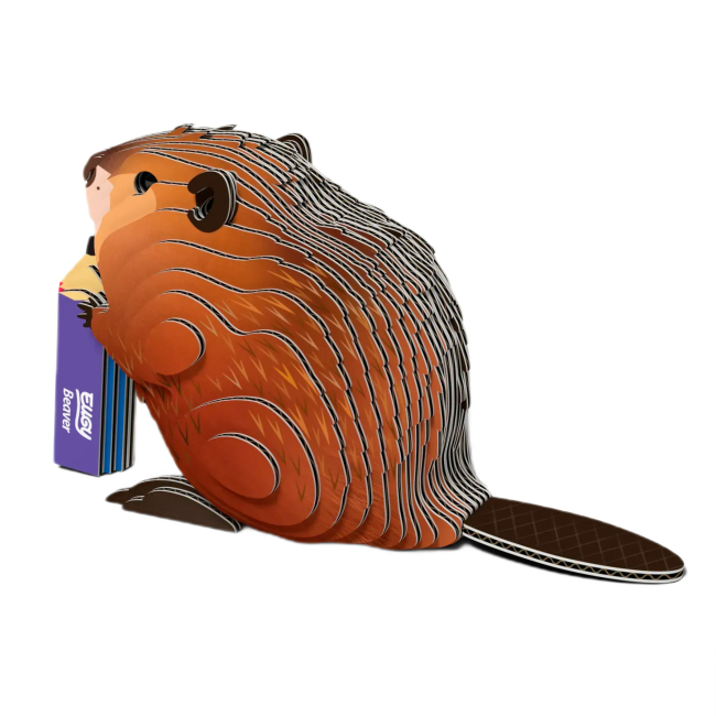 3D-пазлы - 3D пазл Eugy Зоопарк Бобер (XEG-127)#3