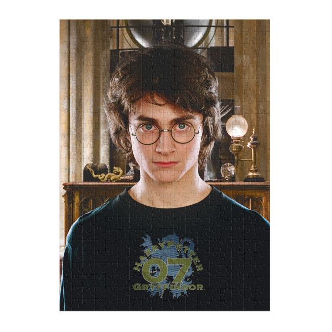 Пазлы - Пазл DoDo Harry Potter Hard-M Портрет Гарри 450 элементов (200576)#2