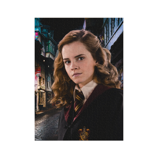 Пазлы - Пазл DoDo Harry Potter Hard-M Портрет Гермионы 450 элементов (200577)#2