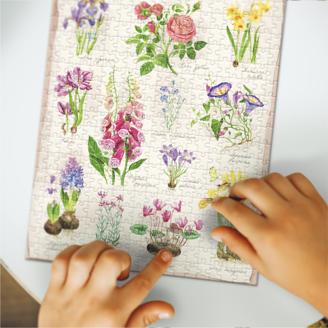 Пазли - Пазл DoDo Botany Easy-L Квітковий сад 400 елементів (300614)#3