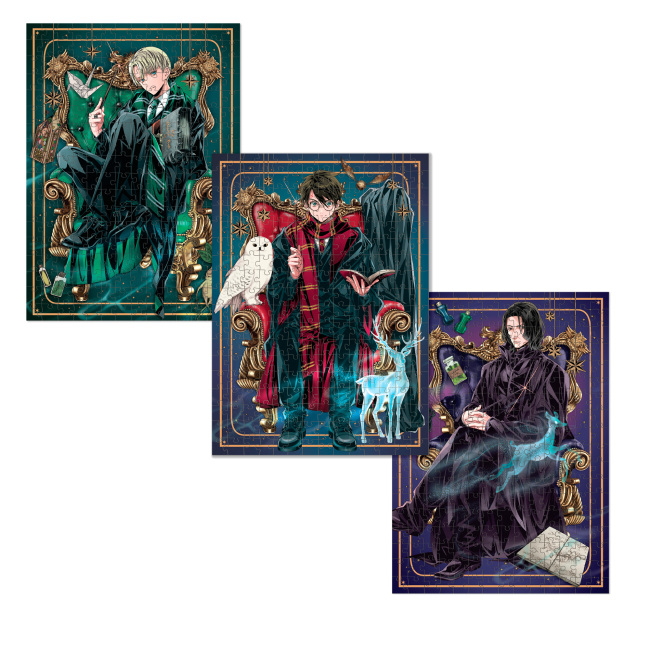 Пазлы - Пазл DoDo Harry Potter Династия волшебников 3 в 1 (200575)#2