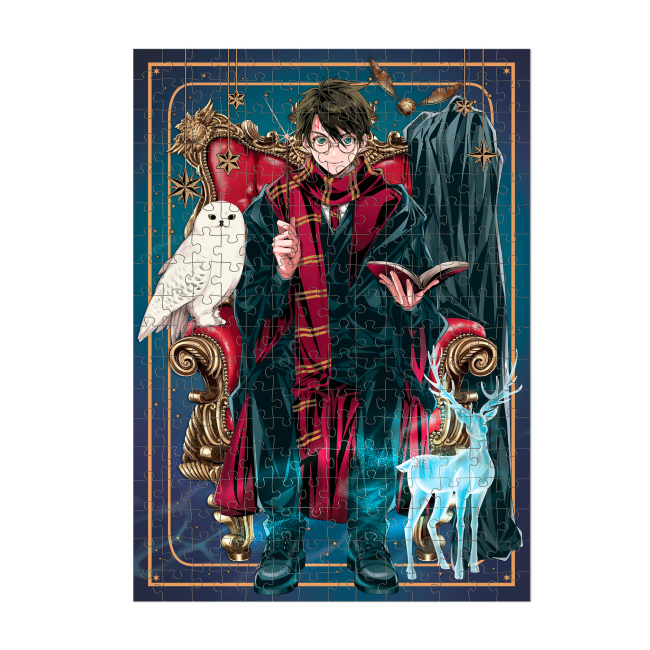 Пазлы - Пазл DoDo Harry Potter Династия волшебников 3 в 1 (200575)#4