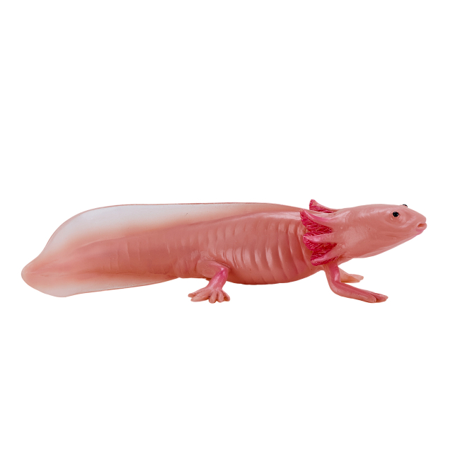Фігурки тварин - Фігурка Mojo Аксолотль (381108) #3