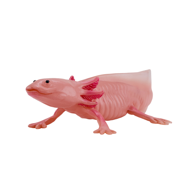 Фігурки тварин - Фігурка Mojo Аксолотль (381108) #5