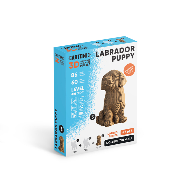 3D-пазли - 3D пазл Cartonic Labrador puppy (4820191134881)#4