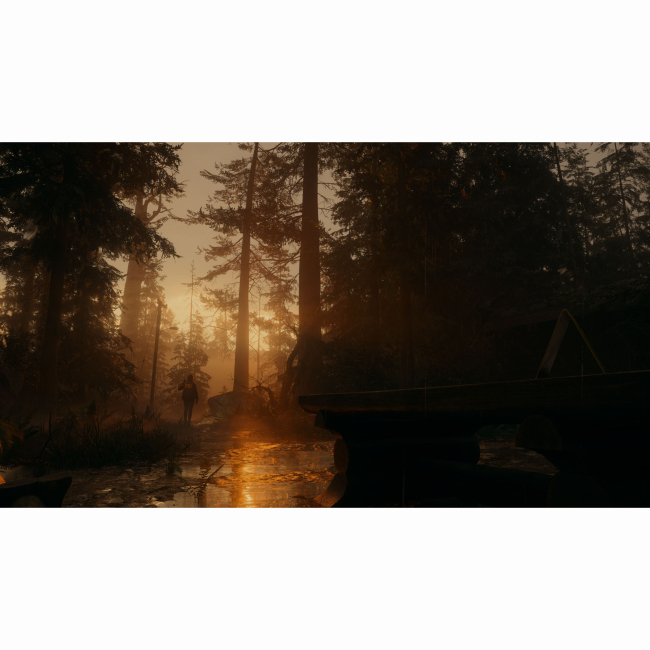 Товари для геймерів - Гра консольна PS5 Alan Wake 2 Deluxe Edition (5056635609427)#8