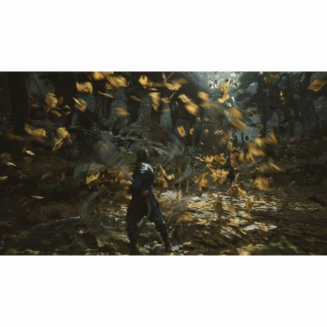 Товары для геймеров - Игра консольная PS5 Black Myth Wukong (5056635611864)#4