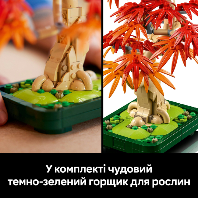 Конструкторы LEGO - Конструктор LEGO Botanicals Бонсай из японского красного клена (10348)#8
