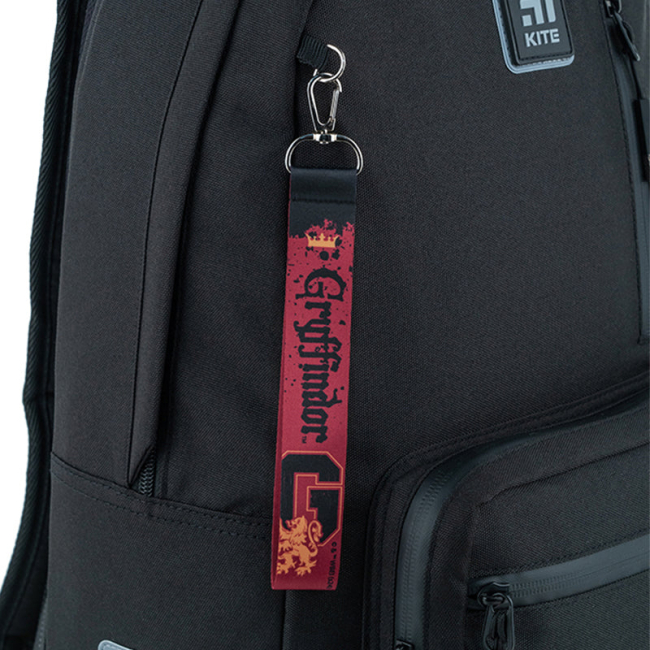 Брелоки - Брелок-підвіска Kite Harry Potter (HP24-3000-1)#6